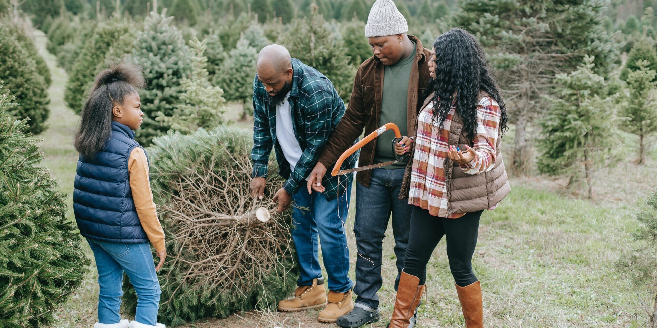 Couper soimême son sapin comment faire